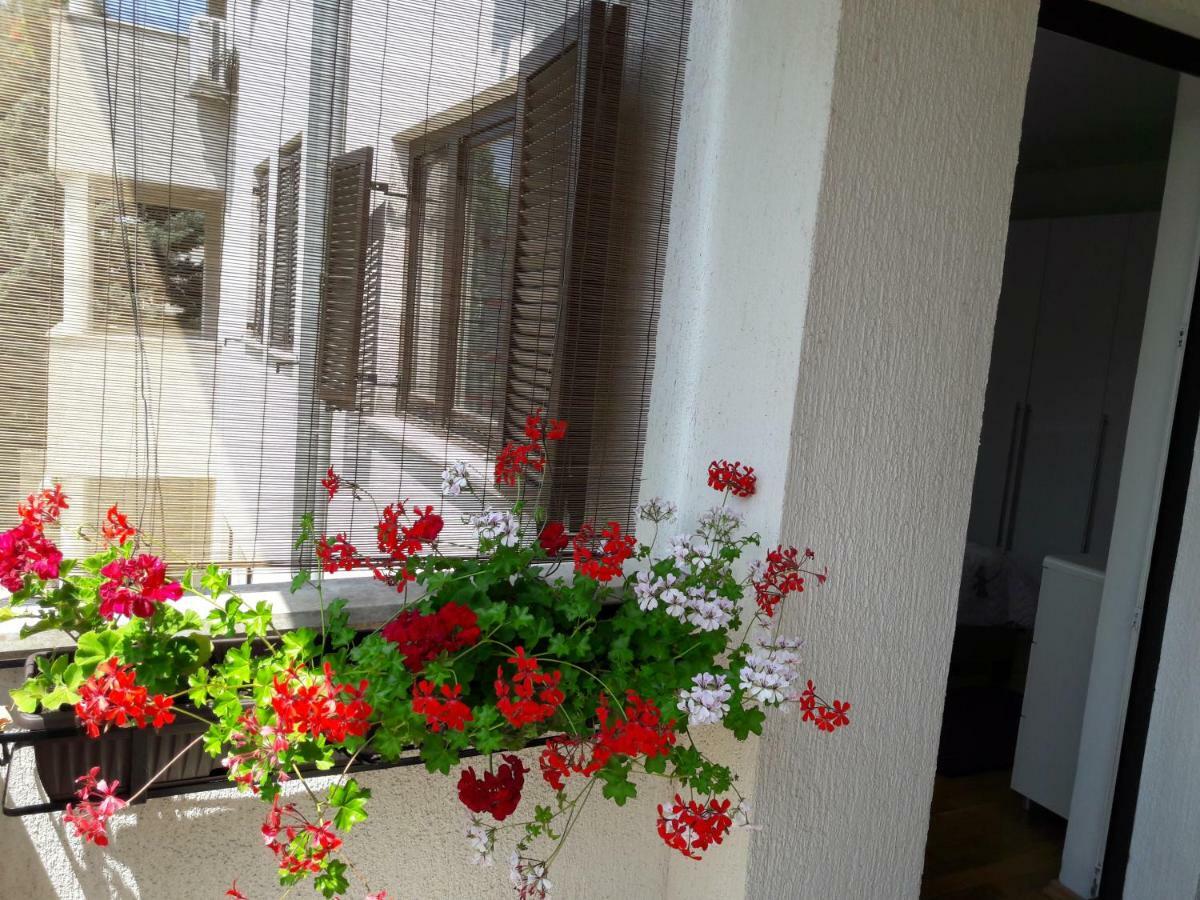 Ruzica Apartment