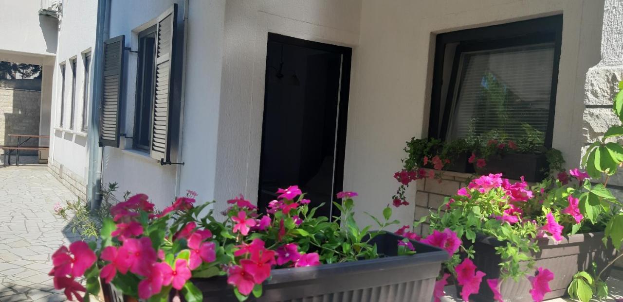 Apartment Ruzica